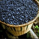 슈퍼베리 이미지