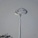 낚GO먹GO 이미지