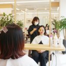 헤어베라 - 용인시 처인구 | 헤어베라