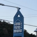 11260-1-64-9 | [울산] 바다 풍경과 편의시설이 깔끔한 울산강동오토캠핑장 (오토캠핑 9번 사이트 후기)