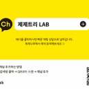 제제나무