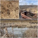 사회적협동조합 노리나무 이미지