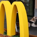 맥도널드 이미지