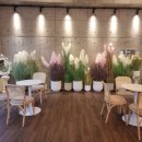 동원(아)경로당 | [좌천동 카페] 아브니르, 부산 신상 대형 향수카페