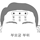 부모궁(父母宮) 일월각(日月角) 이미지