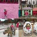 새집상회 | 포천 허브아일랜드 34개월 아이랑 유모차 없이 다녀온 후기