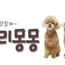 러블리 몽몽 네이버블로그