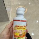 포항제일약국 | 임당인간 임당일상 1 (+포항여성병원 임신성 당뇨검사 후기,임당식단)