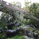 치앙마이 여행정보 - 치앙마이 치앙마이 동물원 & 나이트 사파리 Chiangmai Zoo & Night Safari 이미지