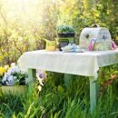 (주)와이즈인헬스케어 이미지