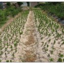 방죽골농장 이미지