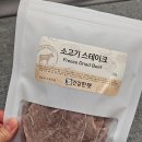 건강한 펫 이미지