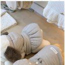 앤애견샵 이미지