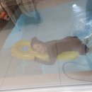 스테이 소야 이미지