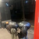 (주)가마소프트 | [일본워홀 +68~95] 나이 반납할게요 환불해주세요