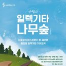 나무일렉