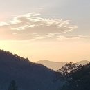 축령산편백하우스