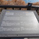 금등소공원 티스토리