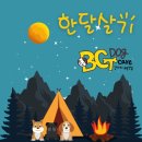 BG독케어센터 이미지