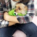 샵춘자 이미지