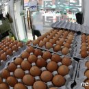 상승농장1 이미지