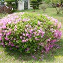 창원지방법원 거창지원 이미지