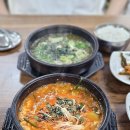 영월천하장사의집 | 영월여행 맛집투어 다슬기한마당 소금빵 카페스몰토크 서부시장