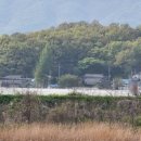 복하천 1 이미지