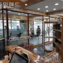 펫아일랜드 이미지