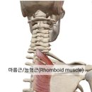 굿모닝 휘트니스 헬스 이미지