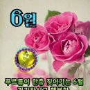 꽃편지길 이미지