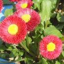 영서로5 이미지