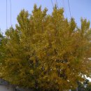 수양동 주민센터 이미지