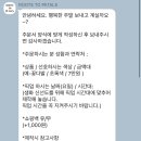 루츠투페탈스 | 내돈내산 회현 꽃집 루츠투페탈스 roots to petals