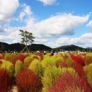 양산체육공원 이미지