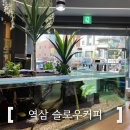 쏠쏠한 커피 | 역삼 슬로우커피 강남 이색카페 다녀와 힐링한 후기