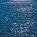 백일홍스테이 이미지