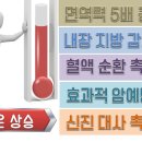 THE쉼(더쉼) 이미지