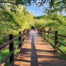 울주 대곡리 반구대 암각화 이미지