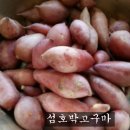 햇호박고구마 추석선물로도 좋아요 ~ 이미지