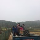 도토리농장 이미지