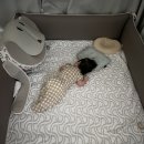 물노리터 이미지