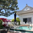 담안 | 경주 황리단길 독채 숙소 담안 후기_수영장/가족/5인 이상