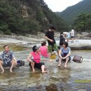 무릉계곡 힐링캠프장 이미지