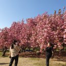 불국사관광안내소 이미지