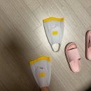 반석동로(유성-53) | 2312