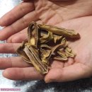 군도4-2L 이미지