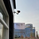 Hey D.(헤이디) 네이버블로그