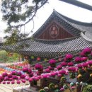 유아독존 이미지