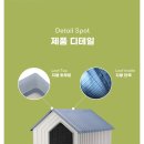 아메리칸 불리 하우스 이미지